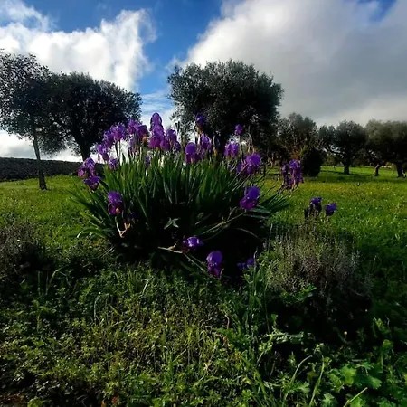 Holiday home Welcome To Your Alberobello's Retreat Mamalu