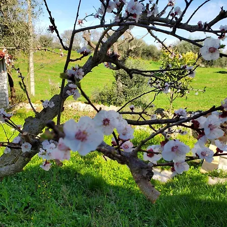 Holiday home Welcome To Your Alberobello's Retreat Mamalu Martina Franca