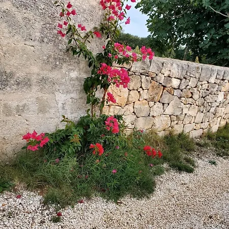 Holiday home Welcome To Your Alberobello's Retreat Mamalu *