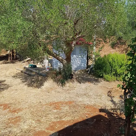 Welcome To Your Alberobello's Retreat Mamalu Holiday home *